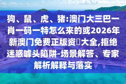 狗、鼠、虎、豬:澳門(mén)大三巴一肖一碼一特怎么來(lái)的或2026年新澳門(mén)免費(fèi)正版資枓大全,拒絕迷惑噱頭陷阱-場(chǎng)景解答、專家解析解釋與落實(shí)