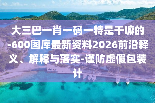 大三巴一肖一碼一特是干嘛的-600圖庫最新資料2026前沿釋義、解釋與落實-謹防虛假包裝計